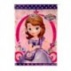 5455 Bolsitas Princesita Sofia The First GM